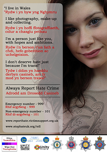 WOT One HateCrime Poster v1 2015 final 500