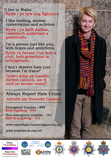 WOT Three HateCrime Poster v1 2015 final 500